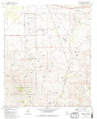 Mount Fagan Arizona Historical topographic map, 1:24000 scale, 7.5 X 7.5 Minute, Year 1981
