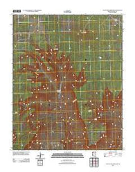 Mount Dellenbaugh Arizona Historical topographic map, 1:24000 scale, 7.5 X 7.5 Minute, Year 2011