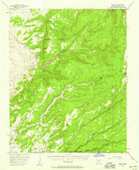 Nazlini Arizona Historical topographic map, 1:62500 scale, 15 X 15 Minute, Year 1955