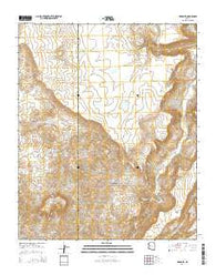 Negro Ed Arizona Current topographic map, 1:24000 scale, 7.5 X 7.5 Minute, Year 2014
