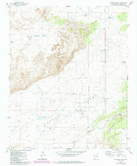 Ninemile Seep Arizona Historical topographic map, 1:24000 scale, 7.5 X 7.5 Minute, Year 1974