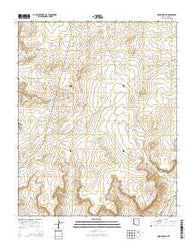 Onion Spring Arizona Current topographic map, 1:24000 scale, 7.5 X 7.5 Minute, Year 2014