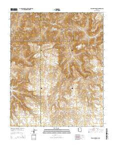 Peach Springs NE Arizona Current topographic map, 1:24000 scale, 7.5 X 7.5 Minute, Year 2014