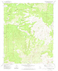 Penitentiary Mtn Arizona Historical topographic map, 1:24000 scale, 7.5 X 7.5 Minute, Year 1980