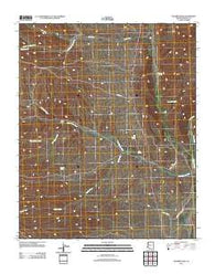 Pilgrim Wash Arizona Historical topographic map, 1:24000 scale, 7.5 X 7.5 Minute, Year 2011