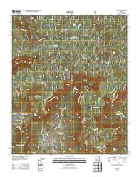 Pine Arizona Historical topographic map, 1:24000 scale, 7.5 X 7.5 Minute, Year 2011