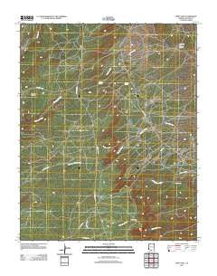 Piney Hill Arizona Historical topographic map, 1:24000 scale, 7.5 X 7.5 Minute, Year 2011