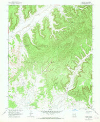 Pinon NW Arizona Historical topographic map, 1:24000 scale, 7.5 X 7.5 Minute, Year 1967