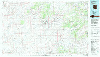 Polacca Arizona Historical topographic map, 1:100000 scale, 30 X 60 Minute, Year 1982
