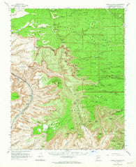 Powell Plateau Arizona Historical topographic map, 1:62500 scale, 15 X 15 Minute, Year 1962