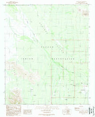 Queens Well Arizona Historical topographic map, 1:24000 scale, 7.5 X 7.5 Minute, Year 1989