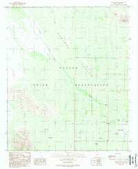 Queens Well Arizona Historical topographic map, 1:24000 scale, 7.5 X 7.5 Minute, Year 1989