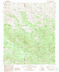 Rawhide Mountain Arizona Historical topographic map, 1:24000 scale, 7.5 X 7.5 Minute, Year 1989