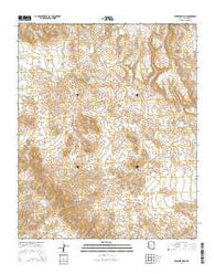 Rawhide Wash Arizona Current topographic map, 1:24000 scale, 7.5 X 7.5 Minute, Year 2014