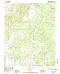Red Clay Wash Arizona Historical topographic map, 1:24000 scale, 7.5 X 7.5 Minute, Year 1983