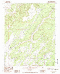 Red Clay Wash Arizona Historical topographic map, 1:24000 scale, 7.5 X 7.5 Minute, Year 1983