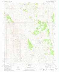 Red Hill Ranch Arizona Historical topographic map, 1:24000 scale, 7.5 X 7.5 Minute, Year 1981