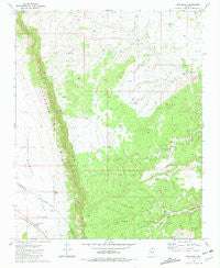 Red Mesa Arizona Historical topographic map, 1:24000 scale, 7.5 X 7.5 Minute, Year 1981