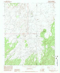 Red Valley Arizona Historical topographic map, 1:24000 scale, 7.5 X 7.5 Minute, Year 1982