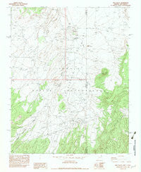Red Valley Arizona Historical topographic map, 1:24000 scale, 7.5 X 7.5 Minute, Year 1982
