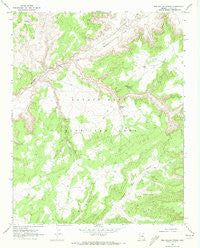 Red Willow Spring Arizona Historical topographic map, 1:24000 scale, 7.5 X 7.5 Minute, Year 1970