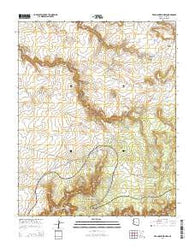Red Cornfield Mesa Arizona Current topographic map, 1:24000 scale, 7.5 X 7.5 Minute, Year 2014