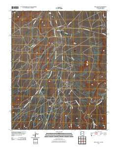 Red Valley Arizona Historical topographic map, 1:24000 scale, 7.5 X 7.5 Minute, Year 2010