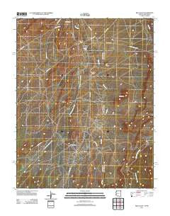 Red Valley Arizona Historical topographic map, 1:24000 scale, 7.5 X 7.5 Minute, Year 2011