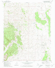 Rhodes Canyon Arizona Historical topographic map, 1:24000 scale, 7.5 X 7.5 Minute, Year 1981