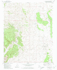 Rhodes Canyon Arizona Historical topographic map, 1:24000 scale, 7.5 X 7.5 Minute, Year 1981