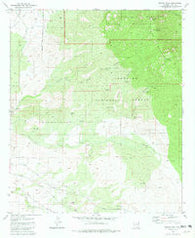 Rincon Peak Arizona Historical topographic map, 1:24000 scale, 7.5 X 7.5 Minute, Year 1981
