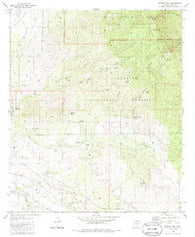 Rincon Peak Arizona Historical topographic map, 1:24000 scale, 7.5 X 7.5 Minute, Year 1981