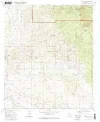 Rincon Peak Arizona Historical topographic map, 1:24000 scale, 7.5 X 7.5 Minute, Year 1981