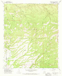 Robinson Mesa Arizona Historical topographic map, 1:24000 scale, 7.5 X 7.5 Minute, Year 1967