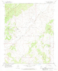 Rocky Ridge Se Arizona Historical topographic map, 1:24000 scale, 7.5 X 7.5 Minute, Year 1967