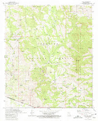 Ruby Arizona Historical topographic map, 1:24000 scale, 7.5 X 7.5 Minute, Year 1981