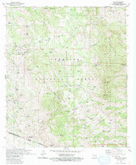 Ruby Arizona Historical topographic map, 1:24000 scale, 7.5 X 7.5 Minute, Year 1981