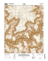 S B Point Arizona Current topographic map, 1:24000 scale, 7.5 X 7.5 Minute, Year 2014