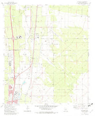 Sahuarita Arizona Historical topographic map, 1:24000 scale, 7.5 X 7.5 Minute, Year 1981