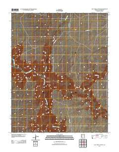 Salt Trail Canyon Arizona Historical topographic map, 1:24000 scale, 7.5 X 7.5 Minute, Year 2011