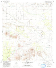 Samaniego Hills Arizona Historical topographic map, 1:24000 scale, 7.5 X 7.5 Minute, Year 1981