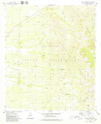 San Juan Spring Arizona Historical topographic map, 1:24000 scale, 7.5 X 7.5 Minute, Year 1979