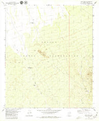 Sand Wells Arizona Historical topographic map, 1:24000 scale, 7.5 X 7.5 Minute, Year 1979