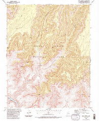 Shiva Temple Arizona Historical topographic map, 1:24000 scale, 7.5 X 7.5 Minute, Year 1988