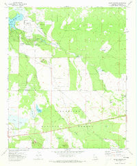 Silver Springs Arizona Historical topographic map, 1:24000 scale, 7.5 X 7.5 Minute, Year 1971