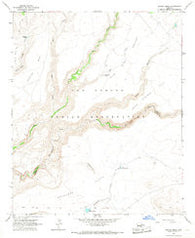 Sontag Mesa Arizona Historical topographic map, 1:24000 scale, 7.5 X 7.5 Minute, Year 1965
