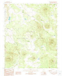 Squaw Mountain Arizona Historical topographic map, 1:24000 scale, 7.5 X 7.5 Minute, Year 1989
