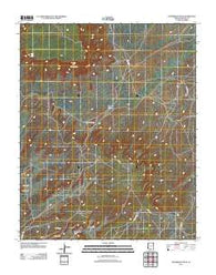 Steamboat Rock Arizona Historical topographic map, 1:24000 scale, 7.5 X 7.5 Minute, Year 2011