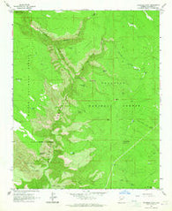 Sycamore Point Arizona Historical topographic map, 1:24000 scale, 7.5 X 7.5 Minute, Year 1963