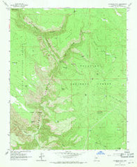 Sycamore Point Arizona Historical topographic map, 1:24000 scale, 7.5 X 7.5 Minute, Year 1963